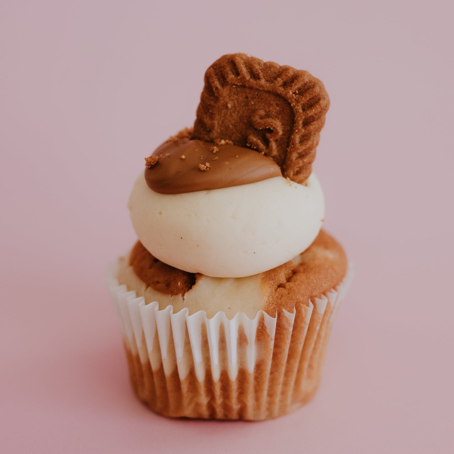 Biscoff Cheesecake