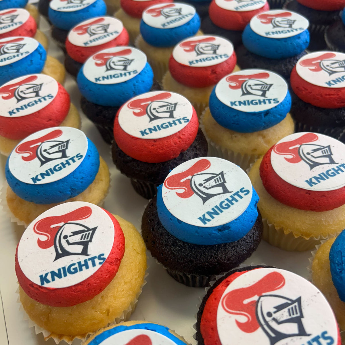 Newcastle Knights Cupcakes