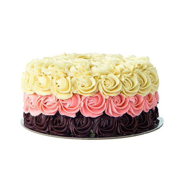 Neapolitan Cake